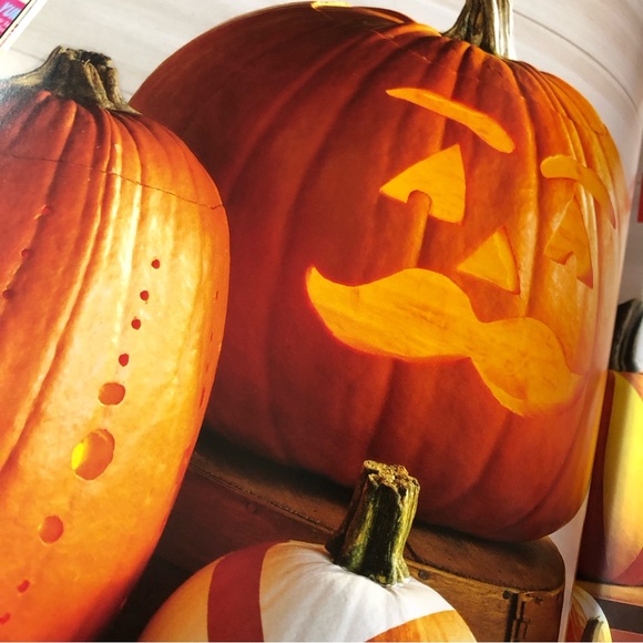 Taste of Home Halloween -- 2 Books in 1! 352 Halloween Tricks & Treats Cookbook - Picture 8 of 11